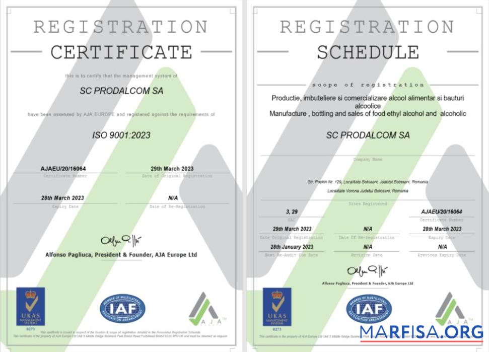 Blank Italy certificate of registration Word and PDF real example